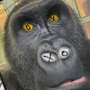 usefjekfkekdkwwwwwwsvicf
