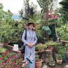 lethiphan5x