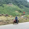 long.25_