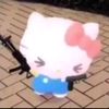 the.hellokitty_