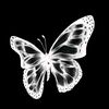 muqor.robin31