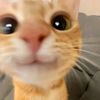 fionarichards11