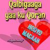 taliso291