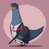 pigeon_78260