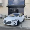 zhp_zn