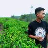 aboy8156