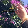 m_raad_25