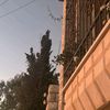 ndosh340