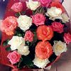 lovelymaraval
