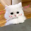 khanh..ngaan