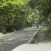 aayushthakur250