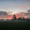 __huynhhuynh__85