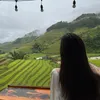 Cô gái nhỏ