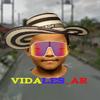 Vidales_ar