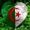 nourislamnourisla1