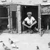 hnmh_39