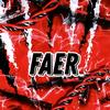 faer320