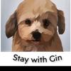 staywithgin