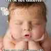 nicla8588