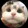 nguyenthingocmai_13