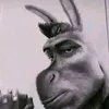 Tokas