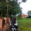 flwrsaamel_238