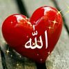 mianarslan5653