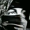 __abo_alkasim__