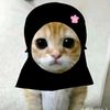 azizah0376