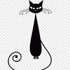 gato_cat3