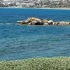 mason_p4564