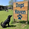 Dogs Haven Sanctuary 🐶