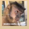 sandraes74