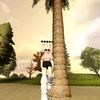 citraque2