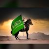 seef161616