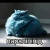 paralipiped0989