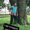 bangthoyib352