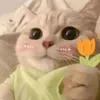 dothanhbinhnemoinguoi0