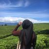 cumi_hidup