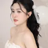 c_amly27