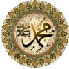 adamdaman4