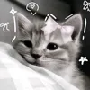 catnip918