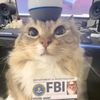 pizdabol622