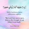 daudaabeeb26