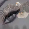 maryam_dima_enser
