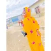 alimandiarra5