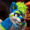 radhuskyski