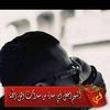 azooshtewe80