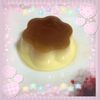 puddingpupp