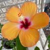 carmenbahena345